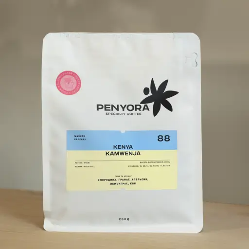 Kenya Kamwenja
